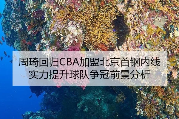 周琦回归CBA加盟北京首钢内线实力提升球队争冠前景分析