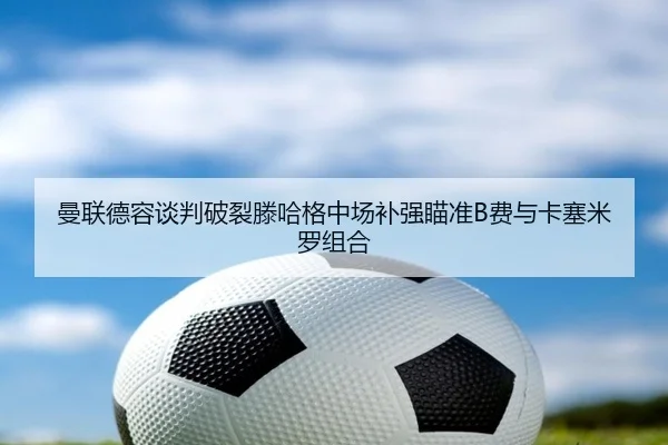 man-lian-de-rong-tan-pan-po-lie-teng-ha-ge-zhong-chang-bu-qiang-miao-zhun-fei-yu-ka-sai-mi-luo-zu-he-2-730.jpg
