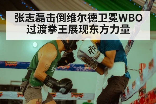 张志磊击倒维尔德卫冕WBO过渡拳王展现东方力量